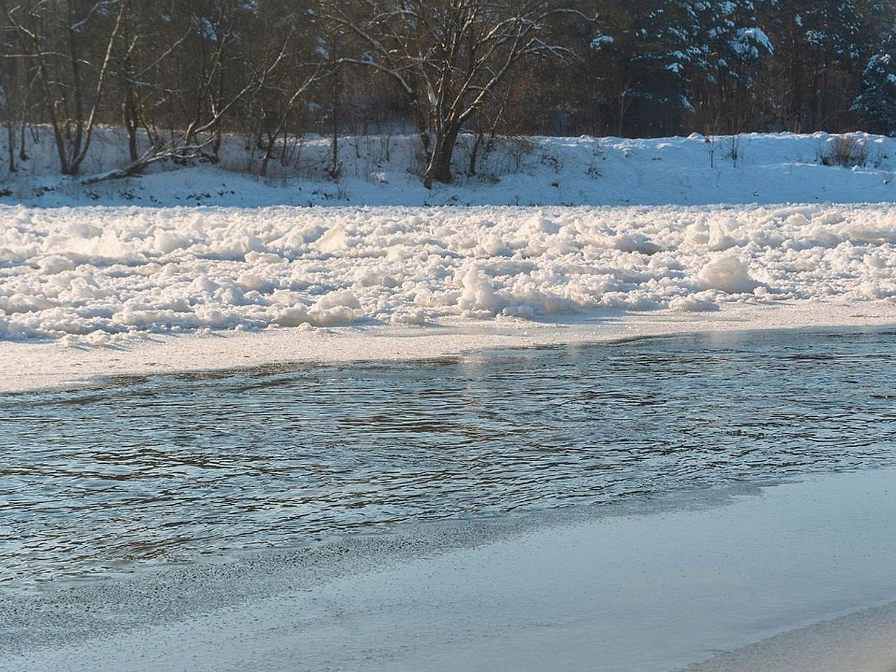 Terreno aberto acima da última árvore na montanha